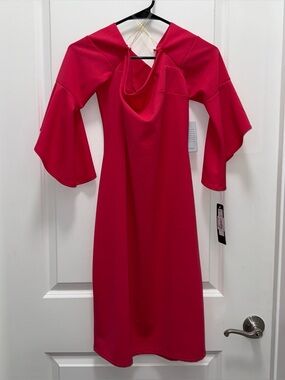 NWT Bebe Hot Pink Mini Dress